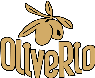 OliveRio. О компании